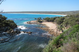 KKs @ Shelly Beach Picnic Area | Shelly Beach | Queensland | Australia