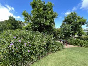 KKs @ Buderim Village Park | Buderim | Queensland | Australia